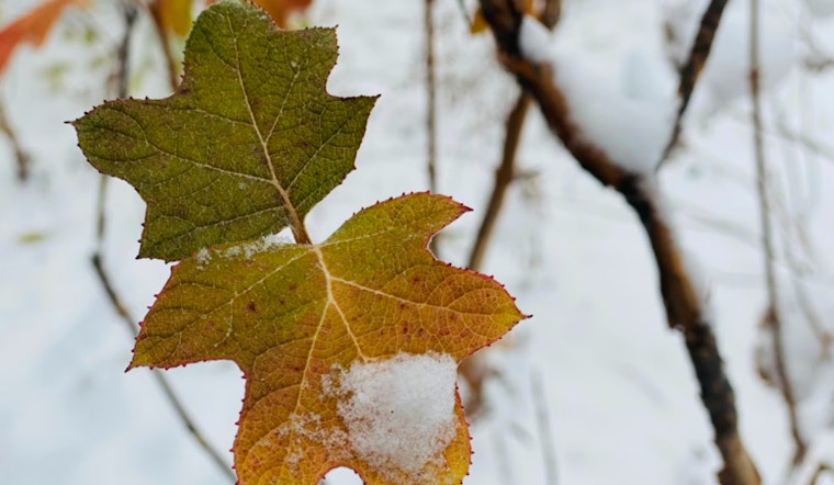 Detroit Braces for Winter Weather, Snow Showers and Blustery Winds Expected as Year Ends