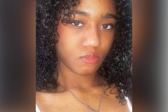 Detroit Police Seek Public's Aid in Search for Missing 18-Year-Old Aleiya Gray, Last Seen on Vernor