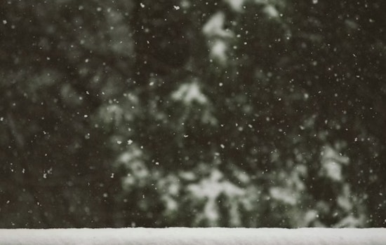 Detroit's Winter Weather Forecast: A Mix of Snow, Rain, and Cloudy Skies Ahead