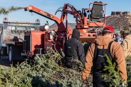 Douglas County Offers Eco-Friendly Christmas Tree Recycling; Free Mulch for Residents