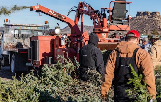 Douglas County Offers Eco-Friendly Christmas Tree Recycling; Free Mulch for Residents