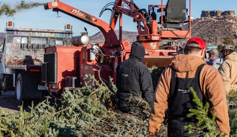 Douglas County Offers Eco-Friendly Christmas Tree Recycling; Free Mulch for Residents