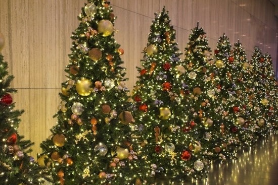 Douglas County Offices Announce Holiday Closure Schedule, Online Services Remain Available