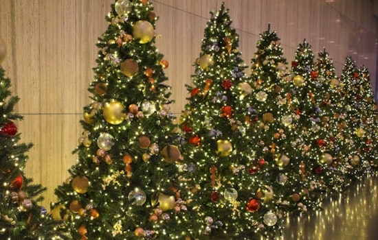 Douglas County Offices Announce Holiday Closure Schedule, Online Services Remain Available