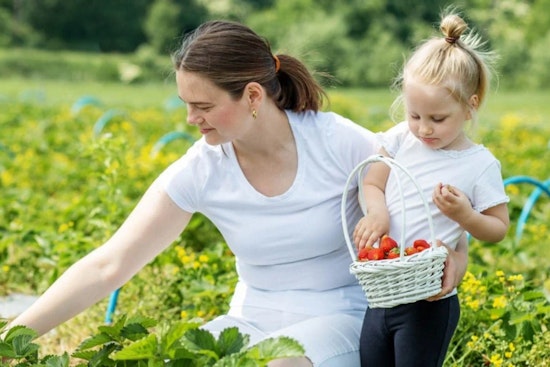 Douglas County Seeks Public Input on Agritourism Zoning Regulations at Upcoming Workshop
