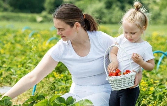 Douglas County Seeks Public Input on Agritourism Zoning Regulations at Upcoming Workshop