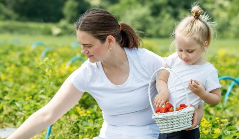 Douglas County Seeks Public Input on Agritourism Zoning Regulations at Upcoming Workshop