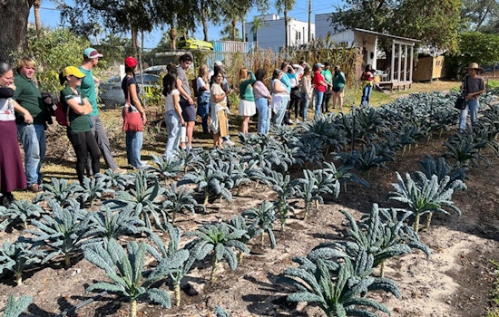 Downtown Tampa's Urban Farming Flourishes Under Homegrown Hillsborough Initiative