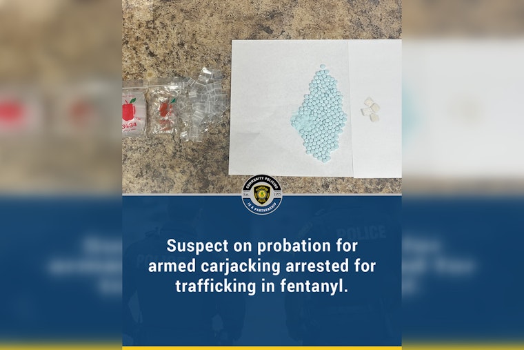 Driver Arrested for Trafficking Fentanyl and Cocaine During Traffic Stop in Plantation, Florida