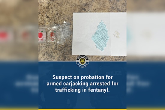 Driver Arrested for Trafficking Fentanyl and Cocaine During Traffic Stop in Plantation, Florida