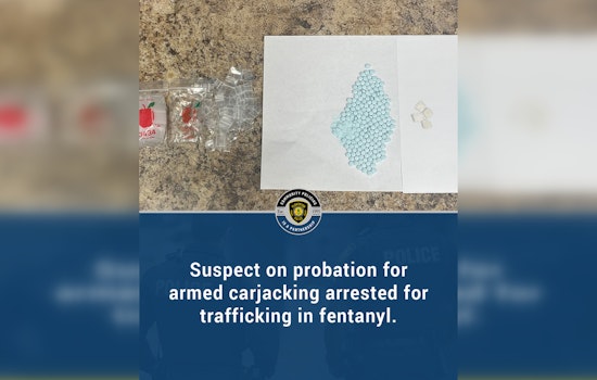 Driver Arrested for Trafficking Fentanyl and Cocaine During Traffic Stop in Plantation, Florida