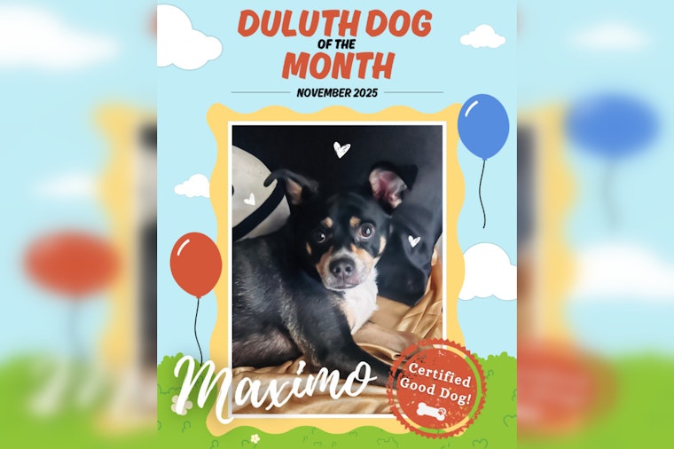 Duluth Pup Maximo Wins Dog of the Month for His Environmental Endeavors