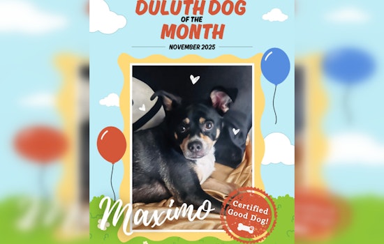 Duluth Pup Maximo Wins Dog of the Month for His Environmental Endeavors