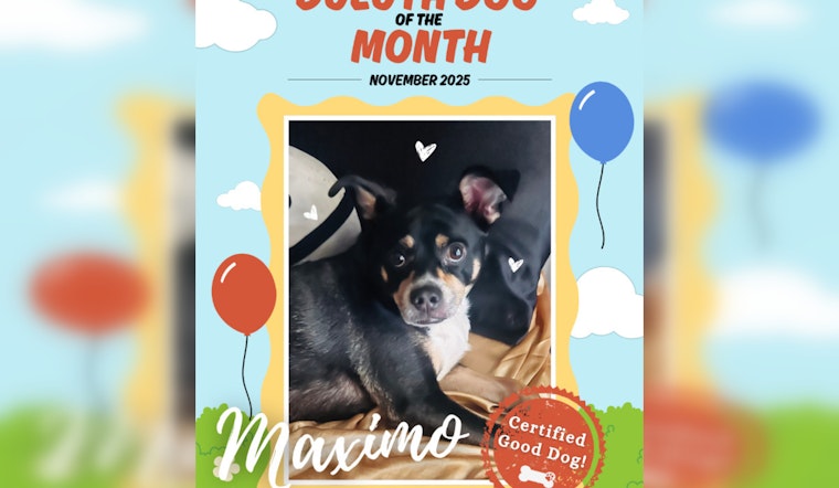 Duluth Pup Maximo Wins Dog of the Month for His Environmental Endeavors