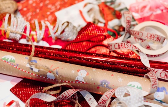 Dunedin Authorities Urge Proper Recycling Practices During Holiday Season