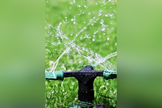 Dunedin Urges Residents to Conserve Water by Reducing Lawn Irrigation in Winter Months