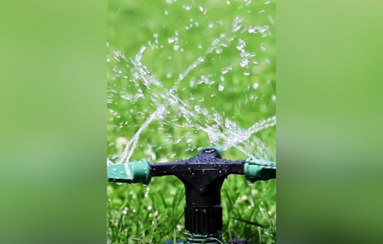 Dunedin Urges Residents to Conserve Water by Reducing Lawn Irrigation in Winter Months