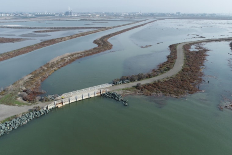 East Bay Regional Park District Expands with 77-Acre Shoreline Acquisition, Boosting Hayward Marsh Restoration Efforts