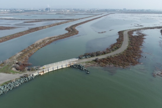 East Bay Regional Park District Expands with 77-Acre Shoreline Acquisition, Boosting Hayward Marsh Restoration Efforts