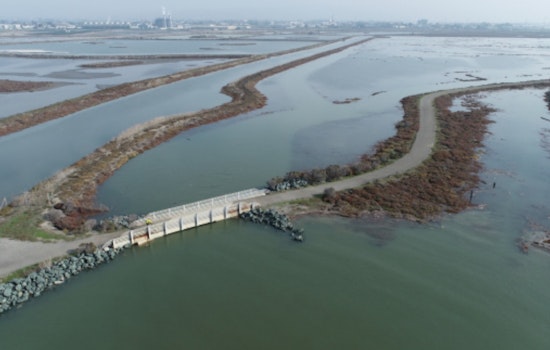 East Bay Regional Park District Expands with 77-Acre Shoreline Acquisition, Boosting Hayward Marsh Restoration Efforts