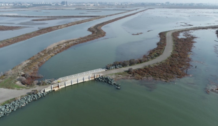 East Bay Regional Park District Expands with 77-Acre Shoreline Acquisition, Boosting Hayward Marsh Restoration Efforts