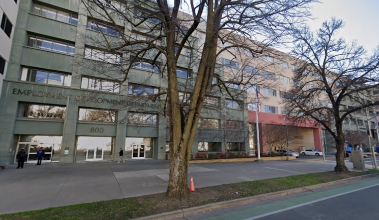 EDD Burns Millions on 'Ghost' Cellphones Nobody Used, Audit Says