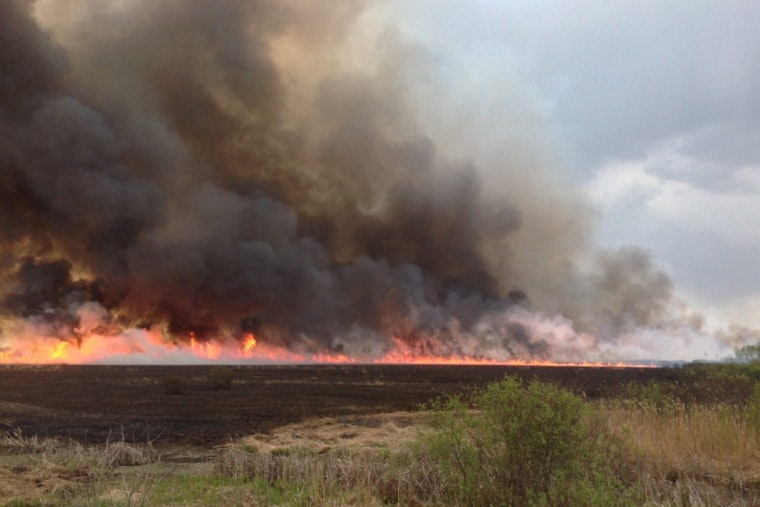 El Paso County Sheriff Enforces Stage I Fire Restrictions Amid Wildfire Risk