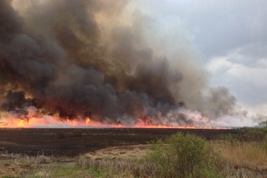 El Paso County Sheriff Enforces Stage I Fire Restrictions Amid Wildfire Risk