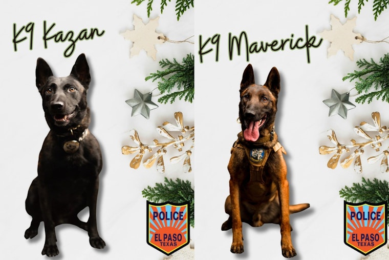 El Paso Honors Canine Officers and Handlers in "12 Days of EPPD" Celebration for Year-Round Dedication to Public Safety