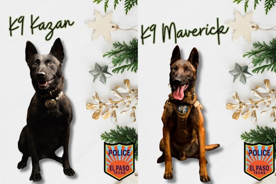 El Paso Honors Canine Officers and Handlers in "12 Days of EPPD" Celebration for Year-Round Dedication to Public Safety