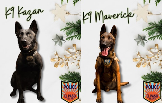 El Paso Honors Canine Officers and Handlers in "12 Days of EPPD" Celebration for Year-Round Dedication to Public Safety