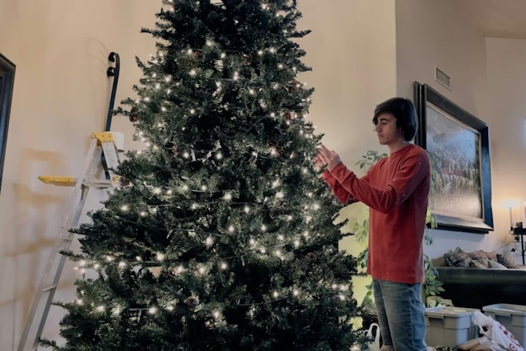 El Paso Invites Residents to Recycle Live Holiday Trees for a Greener New Year