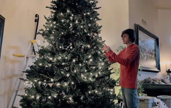 El Paso Invites Residents to Recycle Live Holiday Trees for a Greener New Year