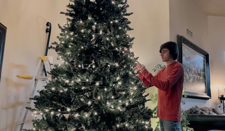 El Paso Invites Residents to Recycle Live Holiday Trees for a Greener New Year