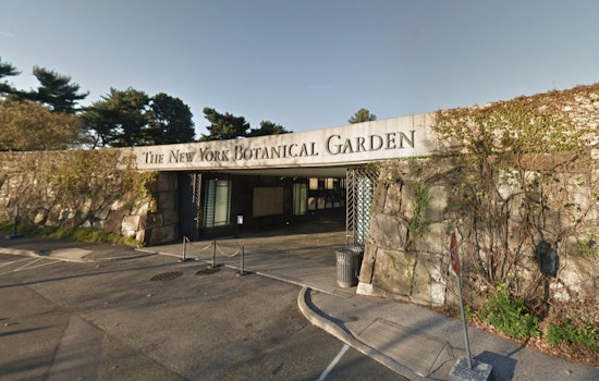 Elderly Woman Found Dead Near New York Botanical Garden in the Bronx as Investigation Continues