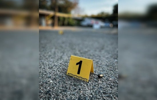 Family Party Melts Down As Relative Fires Shots Into Galt Sky