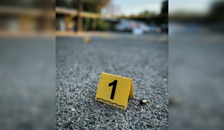 Family Party Melts Down As Relative Fires Shots Into Galt Sky