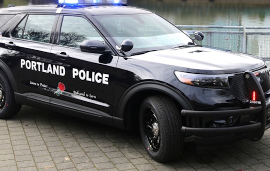 Fatal Hit-and-Run in Portland's Sumner Neighborhood Police Seek Public Help