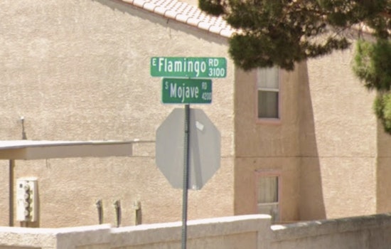 Flamingo Crosswalk Horror As SUV Driver Hits Local Man And Bolts