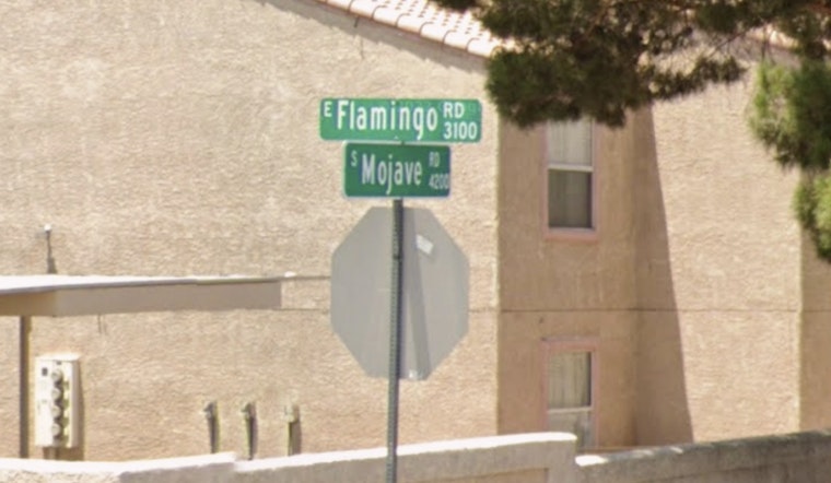 Flamingo Crosswalk Horror As SUV Driver Hits Local Man And Bolts