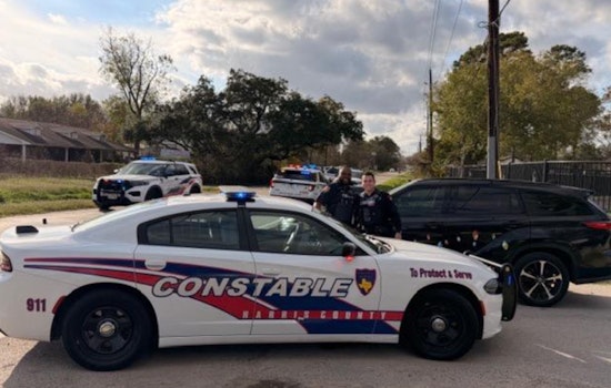 Fleeing Driver Crashes On Quiet Houston Street, Deputies Collar Suspect And Stolen Gun