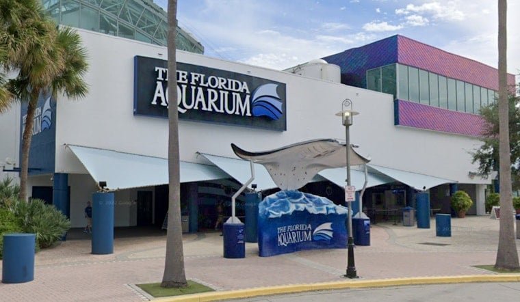 Florida Aquarium's Beloved Aquatic Displays Make a Comeback at Tampa International Airport's Baggage Claims