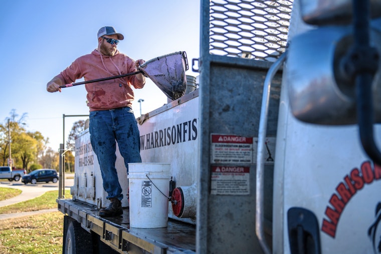 Florissant Restocks St. Ferdinand Pond with New Fish for Local Ecosystem