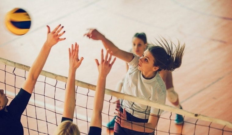 Former Gopher Star Steph Chapek to Lead Eden Prairie's Adult Volleyball Clinics in 2026