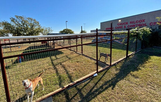 Fort Worth's Silcox Animal Shelter Receives $72,000 Donation from Ransome Hughes Rombauer to Enhance Dog Play Yards