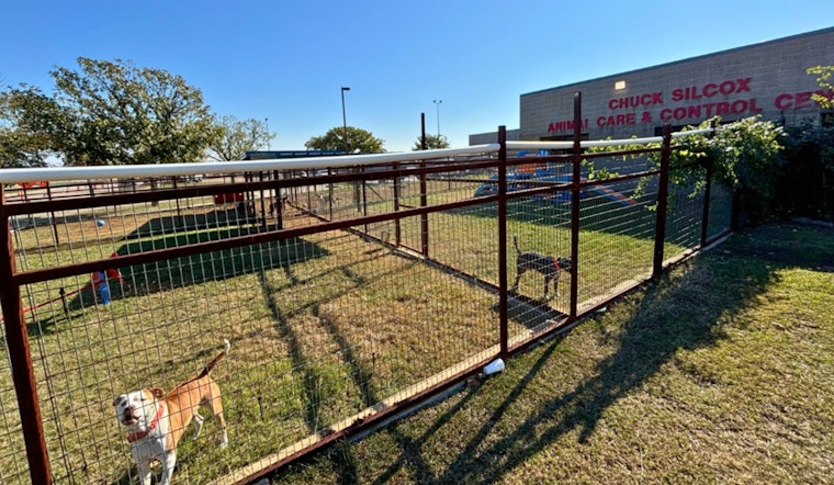 Fort Worth's Silcox Animal Shelter Receives $72,000 Donation from Ransome Hughes Rombauer to Enhance Dog Play Yards