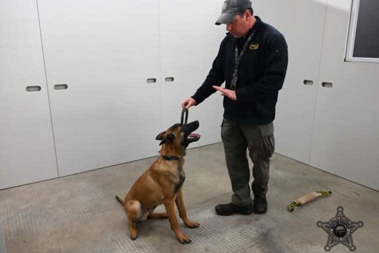 Franklin County Sheriff's Office Welcomes New K9 Recruit, Offers Community Updates via App