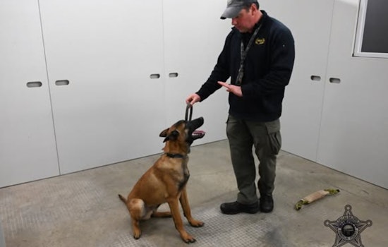 Franklin County Sheriff's Office Welcomes New K9 Recruit, Offers Community Updates via App