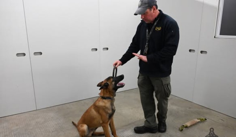 Franklin County Sheriff's Office Welcomes New K9 Recruit, Offers Community Updates via App