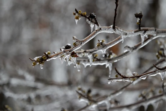 Freeze Warnings Issued for Eastern Inyo, Northeastern Clark, and Southern/Central Mohave Counties